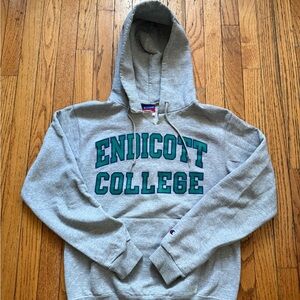 Champion Gray Endicott College Men's Hoodie